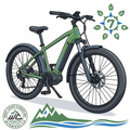 e-bike rental for 7 days, charger , helmet, lock included.
