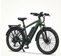 02 - 1 E-bike. Minimum 2 hour rental.